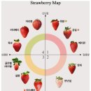 수부지 좁쌀여드름쟁이 꿀피부 만들어준 올영&러쉬템 (피부 사진 있음 조심) 이미지