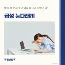 교대역 안과 다래끼 부종과 열감 완화하는 초기 대응 요령