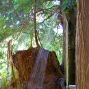 충전하우스 이미지