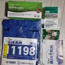 241110 블루런 마라톤 대회 10km 43분 완주 후기, 공연, 증정품