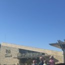 쥬라기동물병원 | [경주 아이와 갈만한 곳 찾는다면?] 경주 바니베어뮤지엄 20개월아기랑 방문 추천 후기 (실바니안 전시관)