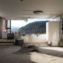 일동하와이 이미지