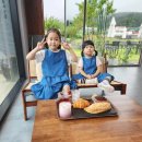 경남 사천카페 애견동반 가능한 양명 힐링가득