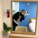 로미스테이 이미지