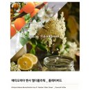 가향꽃