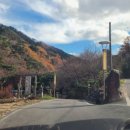 다래골산방(1) 이미지