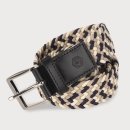 페르시안 캣 이미지