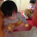 황금알낳는꼬꼬