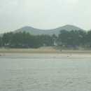 장삼포해수욕장 이미지