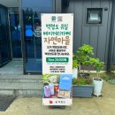 백령도 기념품 - 맛에 진심인 카페 [자연마을] 너무 귀여운 백령샌드, 물범 마들렌 예약, 구매 후기