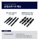 지월드 이미지