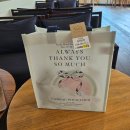 다이소 타포린백 내돈내산 후기｜세로형 부직포 보조가방 1000원 가성비템