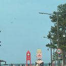 [동해] 묵호항 수산시장+ 강원도 동해 망상 제2 오토캠핑장 후기