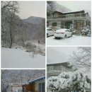 골안민박 이미지