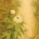 하늘땅바람 이미지