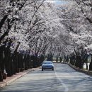 에덴주유소 이미지