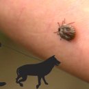 남성축산 이미지