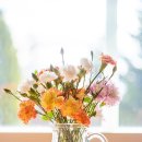 라피오레 이미지