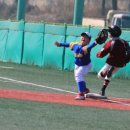 서울중대초등학교 이미지