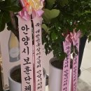 상이군경회 안양시지회 Daum카페