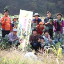 천하농장 이미지