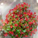 대평공원 이미지