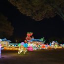 남강하하 | 2025 진주남강유등축제 후기 | 3번 다녀온 리얼 경험담 + 인생샷 꿀팁 총정리