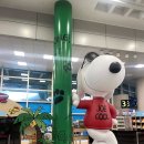 프라우드 제주 이미지