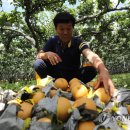 배들농장 이미지