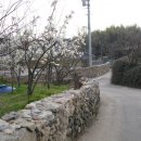 달빛무월마을 이미지