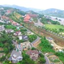 청벽거북 이미지