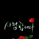 파아란