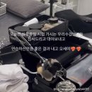 이레뷰티 - 용인시 처인구 | 이레뷰티