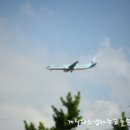 고집불통숯불갈비