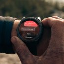 피닉스 휘트니스 이미지