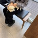 뉴케어동물병원 이미지