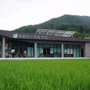 다리목농장 티스토리