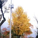 웃냇물펜션 이미지