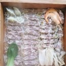 역곡야채 이미지