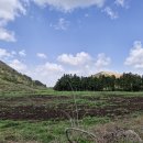 금당목장 이미지