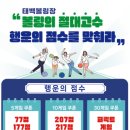 태백볼링장 강원일보