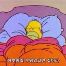 송고집왕족발 - 강서구 수명로 82 | 송고집왕족발