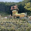 이안 힐링랜드 이미지