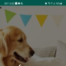 플러스동물메디컬센터 이미지