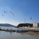 조양수산 네이버블로그