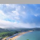 서해회센타 이미지