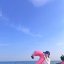 오션블리스 2 이미지