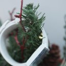 이프(if)모텔 이미지