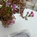 새로나안경원 이미지