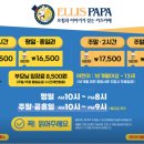 파파벌룬